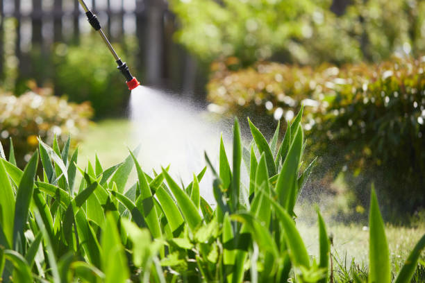 24/7 Emergency Mosquito Control experts in Maize, KS