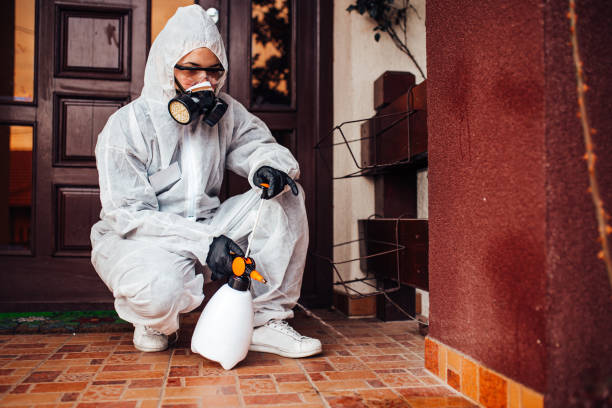 Reliable Mosquito Control contractor in Maize, KS by Show Me Pest Control